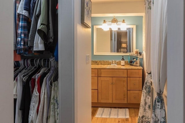 bathroom with hardwood / wood-style floors and vanity