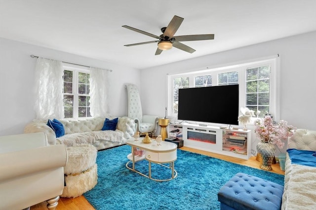 living room with ceiling fan and wood-type flooring