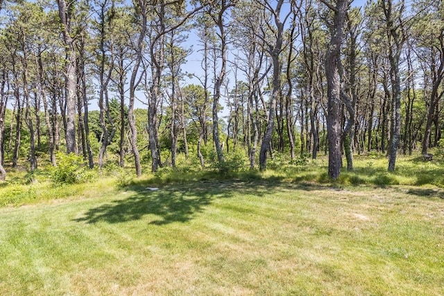 72 Highland Rd, Truro, MA 02666 - view of grassy yard