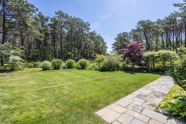 72 Highland Rd, Truro, MA 02666 - view of green lawn