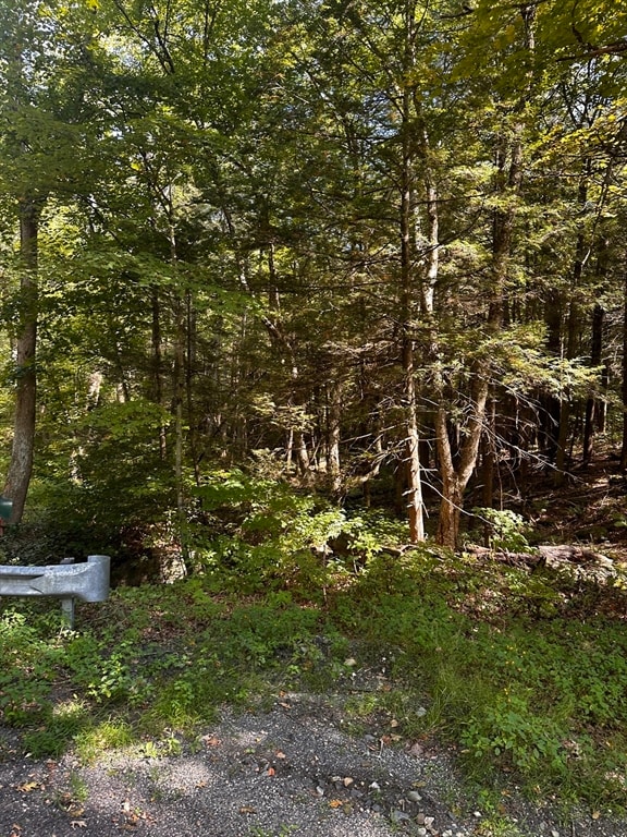 0 Main Rd, Montgomery MA, 01085 land for sale