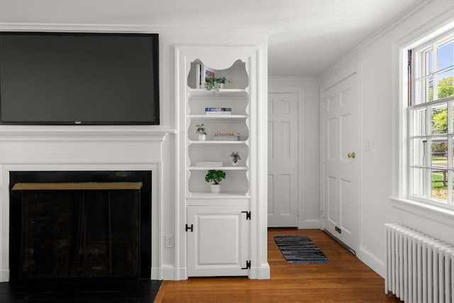 room details with crown molding, wood finished floors, baseboards, radiator heating unit, and a fireplace with flush hearth
