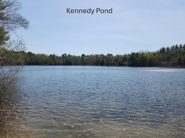 water view with a wooded view