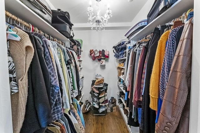 spacious closet featuring wood finished floors