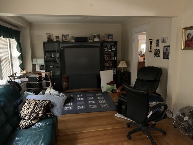 living room featuring wood-type flooring