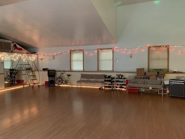 interior space featuring wood-type flooring and vaulted ceiling