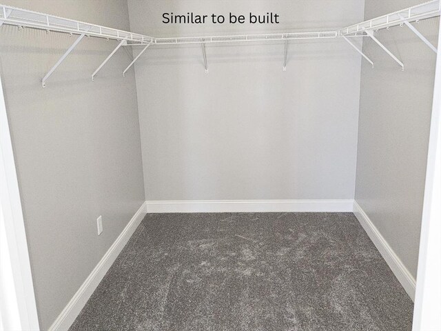 spacious closet with carpet flooring