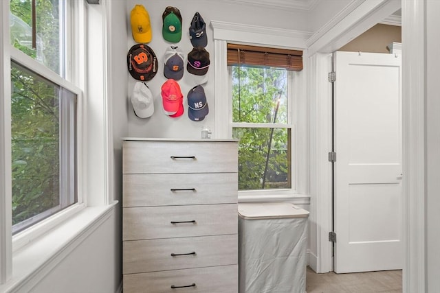 view of closet