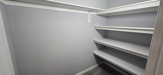 walk in closet featuring carpet