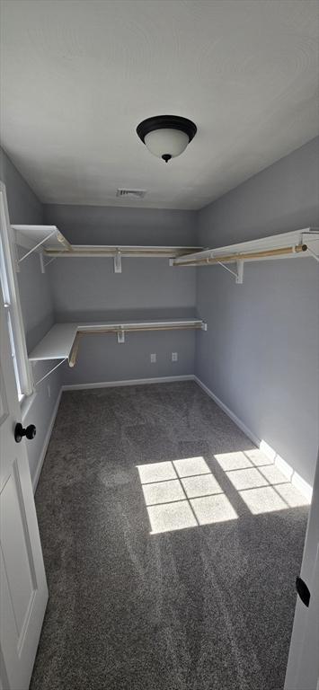 walk in closet featuring carpet floors and visible vents