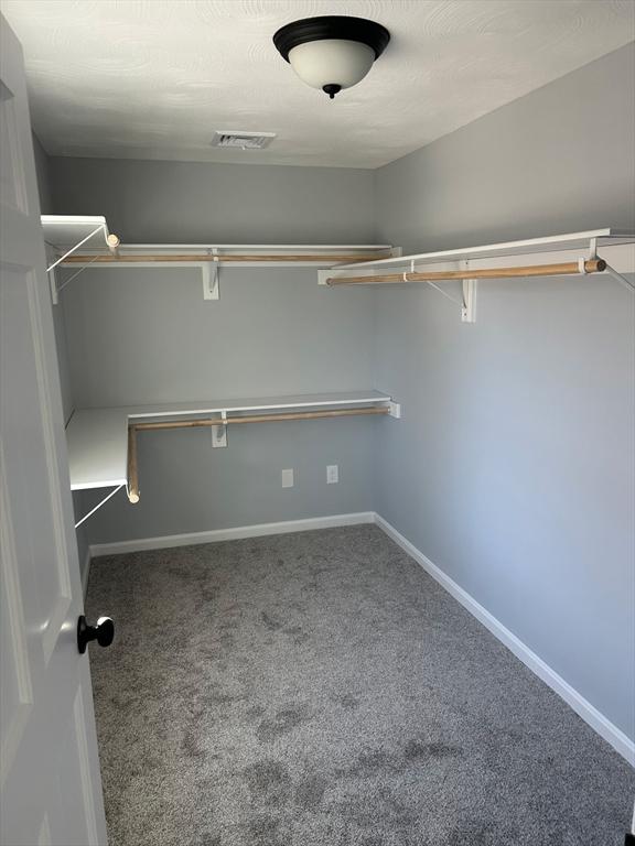 spacious closet featuring visible vents and carpet flooring