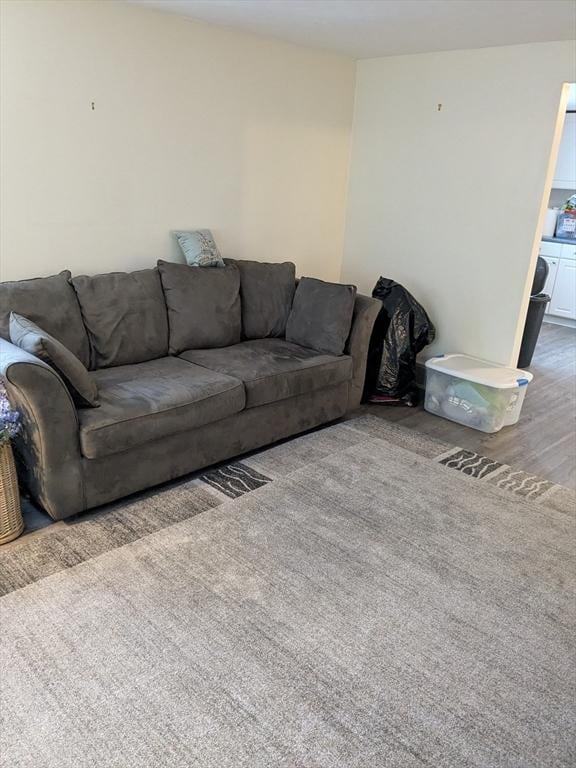 9 New Boston Rd, Dudley, MA 01571 - living room featuring wood finished floors