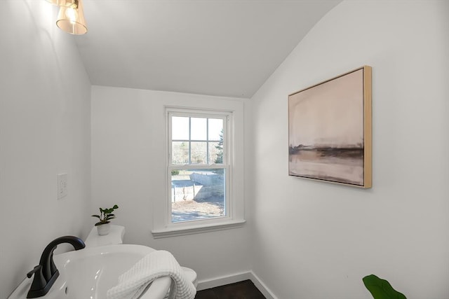 bathroom featuring vaulted ceiling and sink