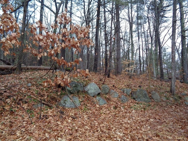 view of landscape