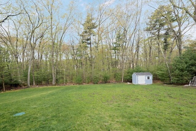 view of yard featuring an outbuilding and a storage unit