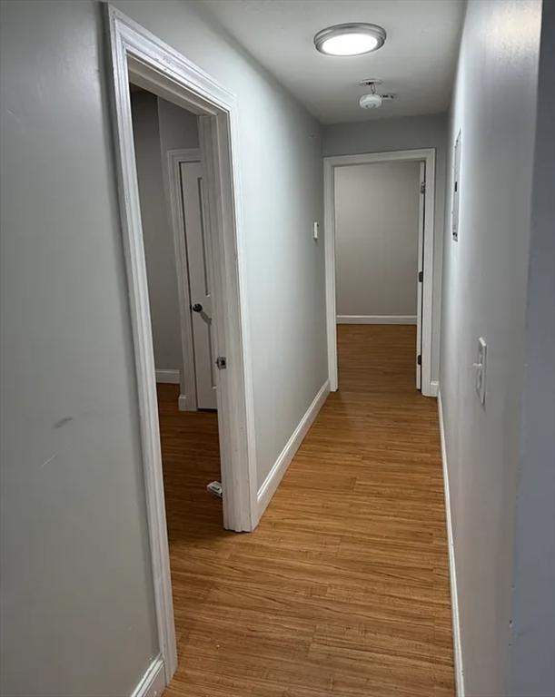 7 Esmond St, Boston, MA 02121 - corridor featuring light wood finished floors and baseboards
