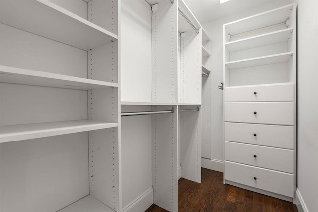 walk in closet featuring dark wood-style floors