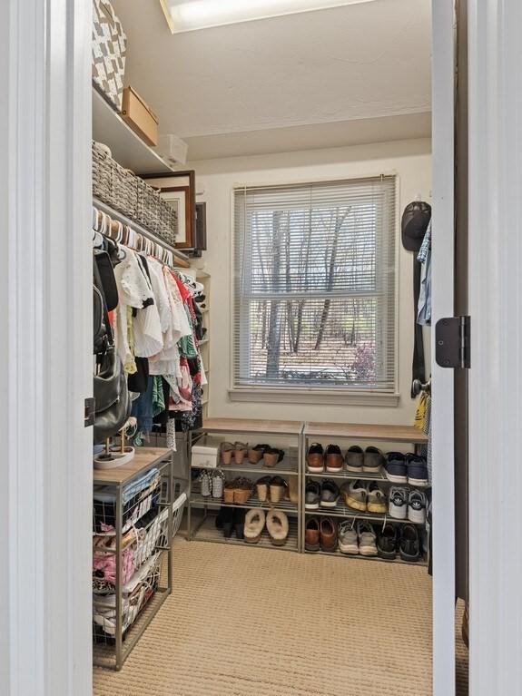view of spacious closet