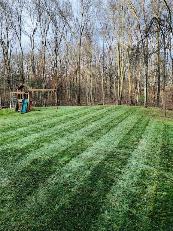 view of yard with a playground