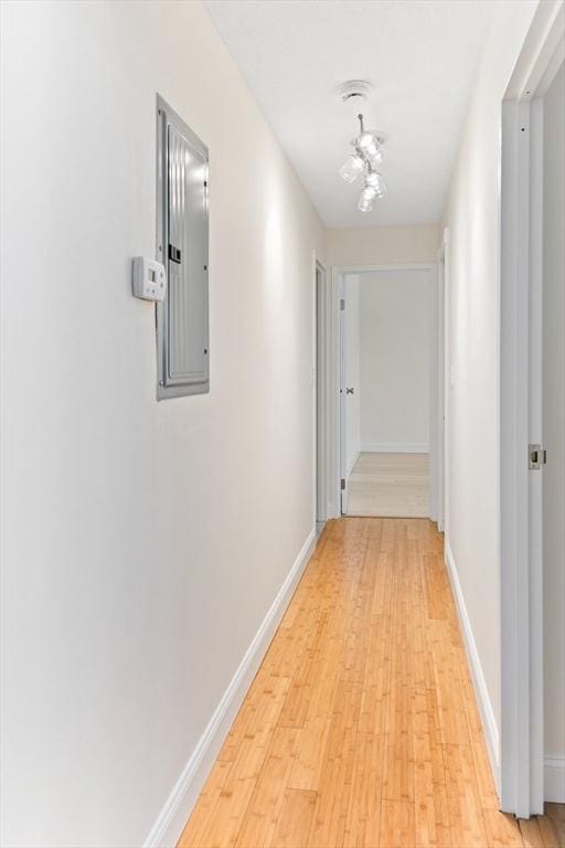 hallway with electric panel and light hardwood / wood-style flooring