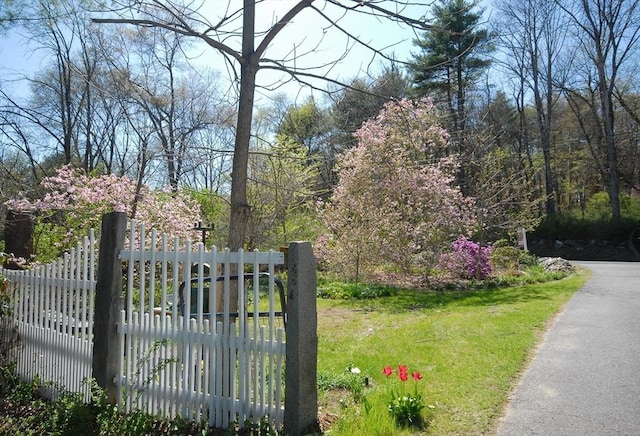 view of gate with fence