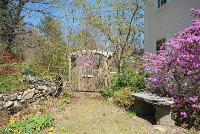 view of yard