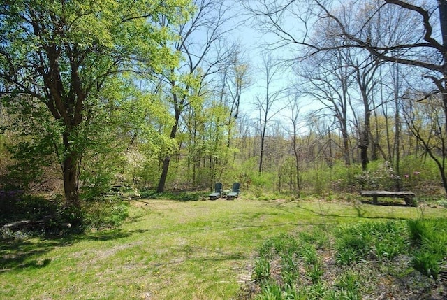 view of yard featuring a forest view