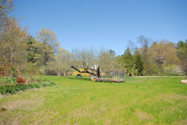 view of yard