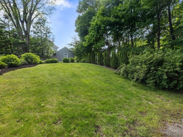 55 Dwight St, Dedham, MA 02026 - view of green lawn