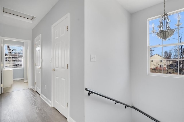 hallway with hardwood / wood-style floors and a notable chandelier