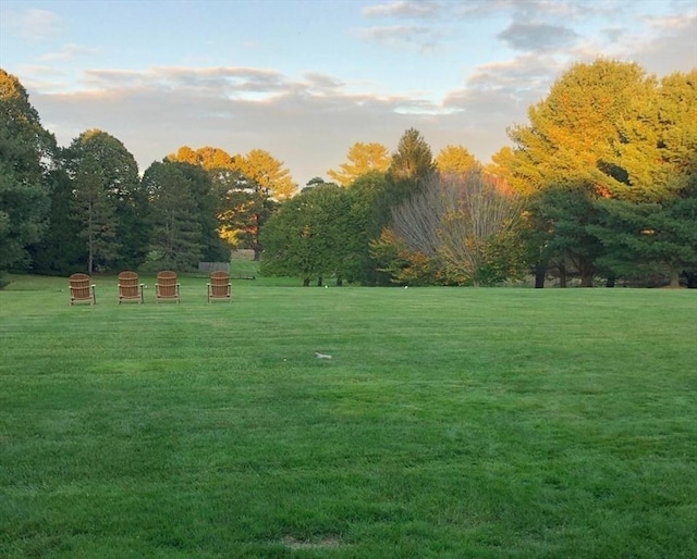 surrounding community featuring a lawn