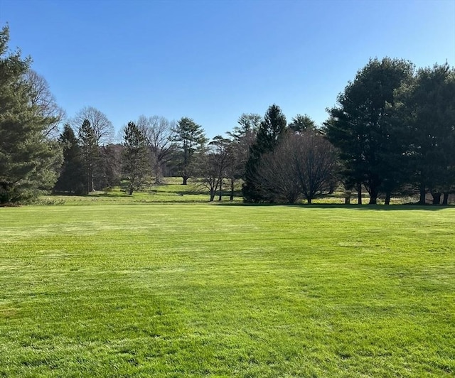 view of home's community featuring a yard