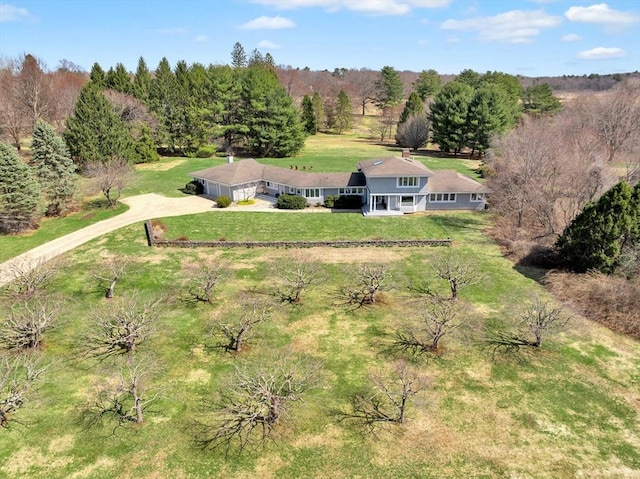 drone / aerial view