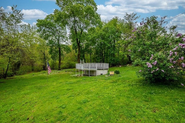 view of grassy yard