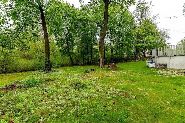 view of grassy yard