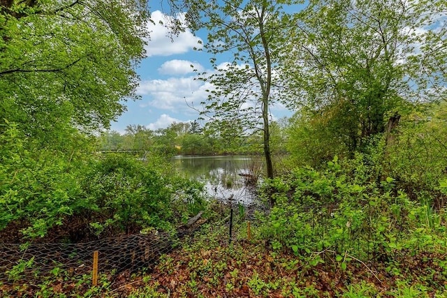 water view featuring a forest