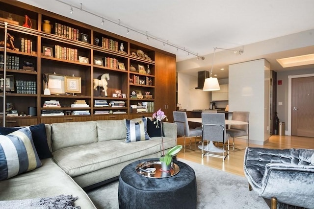 living room featuring track lighting and wood finished floors