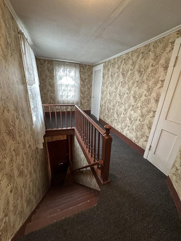 50 Keene St, Lowell, MA 01852 - stairway with wallpapered walls, a textured ceiling, and carpet flooring