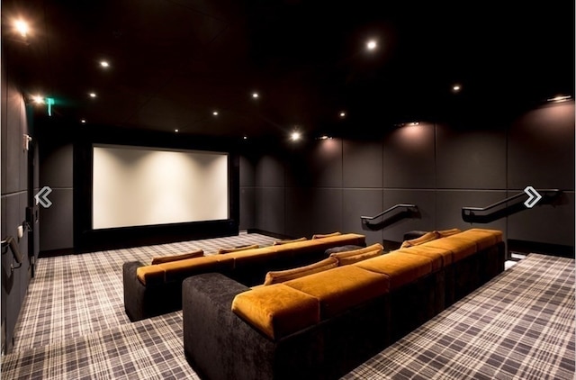 home theater room with light carpet