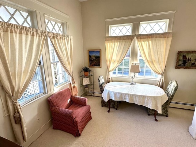 bedroom with carpet and a baseboard radiator