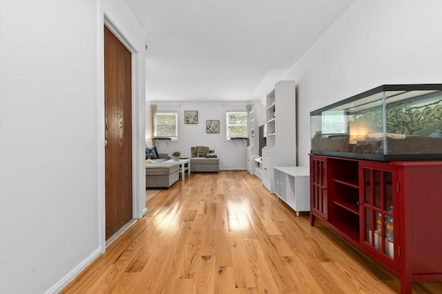 29 1st St Unit C, Salem, MA 01970 - corridor with light wood-style floors