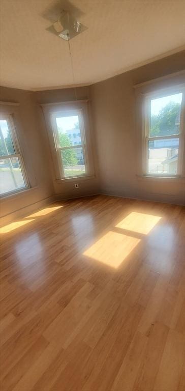 10 Monroe, Springfield, MA 01109 - empty room with healthy amount of natural light and light wood-style flooring