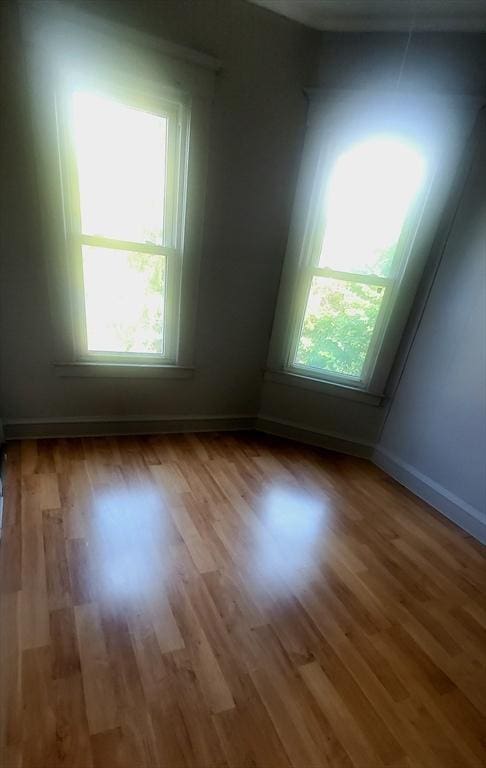 10 Monroe, Springfield, MA 01109 - empty room featuring wood finished floors