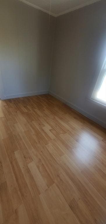 10 Monroe, Springfield, MA 01109 - unfurnished room featuring light wood-type flooring and crown molding