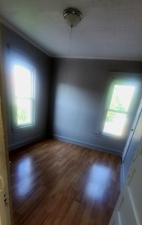 10 Monroe, Springfield, MA 01109 - spare room with wood finished floors and baseboards