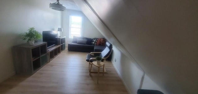 10 Monroe, Springfield, MA 01109 - additional living space with light wood-style flooring and lofted ceiling