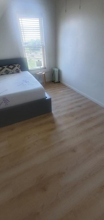 10 Monroe, Springfield, MA 01109 - bedroom with wood finished floors and radiator heating unit