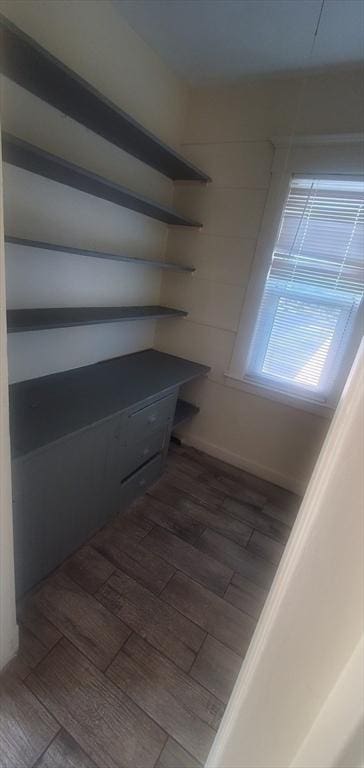 10 Monroe, Springfield, MA 01109 - view of pantry