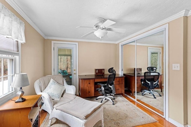 office area with light wood-type flooring, a wealth of natural light, and crown molding