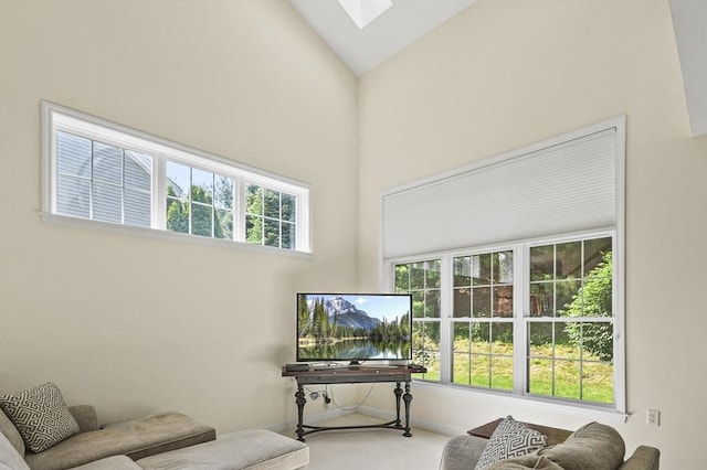 508 Linwood Ct Unit 508, Clinton, MA 01510 - living area featuring high vaulted ceiling, a skylight, and carpet floors